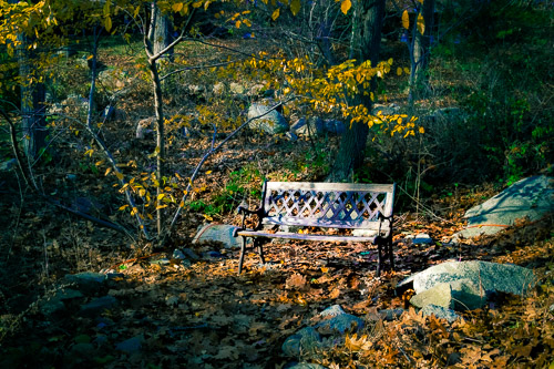 Gloucester, MA - Nov 2022